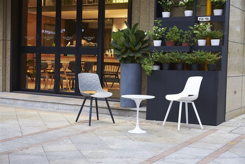 Ziemeļvalstu stila dizains parastais krāsu kontrasta pielietojums 台州芽尖 飞越队 林迪...