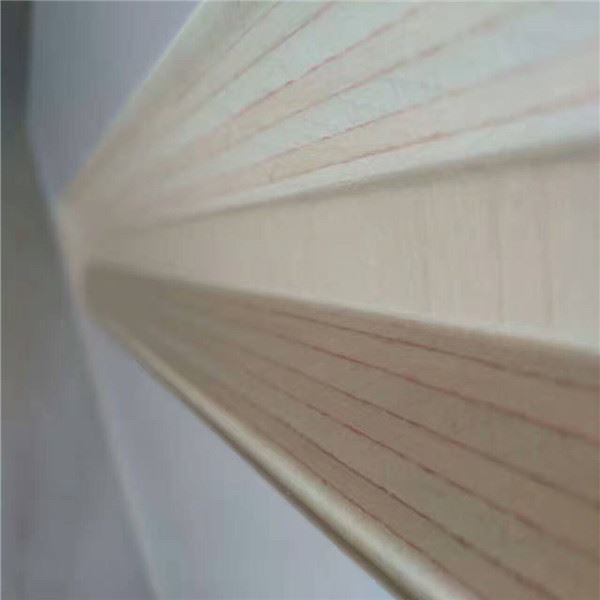 Vai saplāksni var glabāt brīvā dabā -- 山东云速网络 --4 组 -- 刘洁