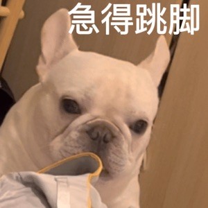 Ergggdfdh435435555555555